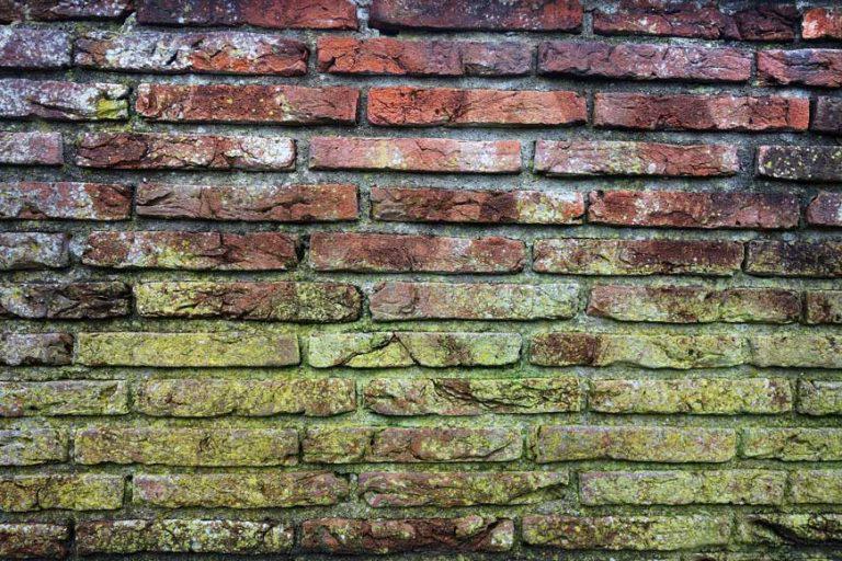How to prevent mold in your garage